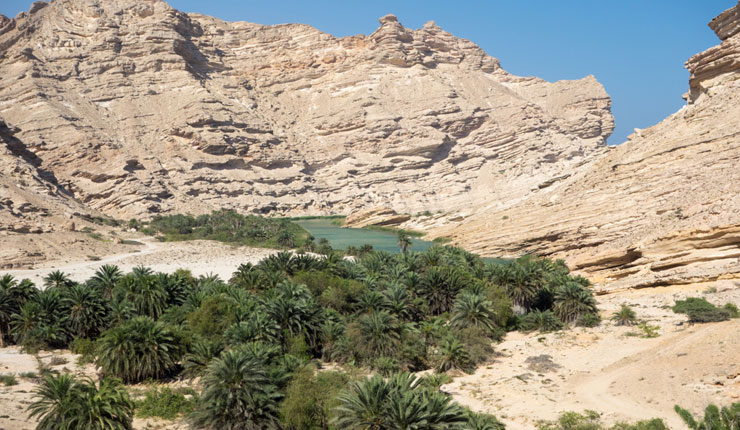 Wadi Ash Shuwaymiyyah_3
