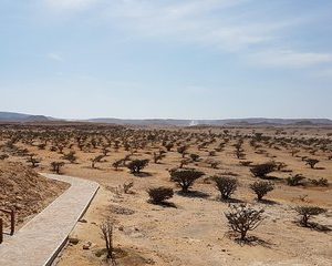 Wadi Dawka