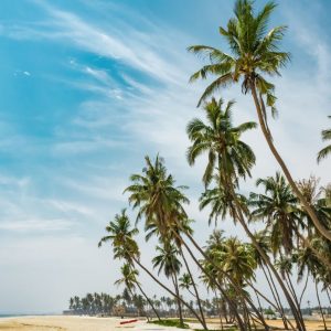 عرض تقديمي عن شركة سياحة – 8