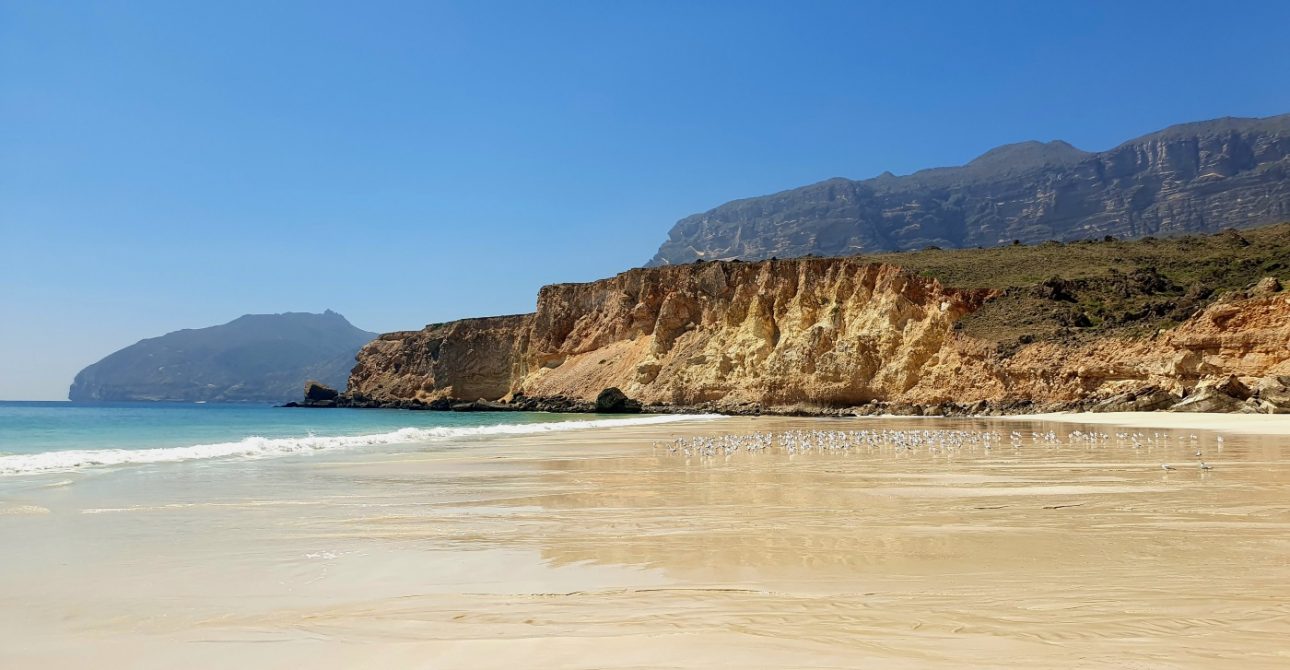 Best Beaches in Salalah, Oman – Your Complete Guide to Dhofar’s Coastal Beauty