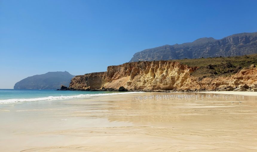 Best Beaches in Salalah, Oman – Your Complete Guide to Dhofar’s Coastal Beauty