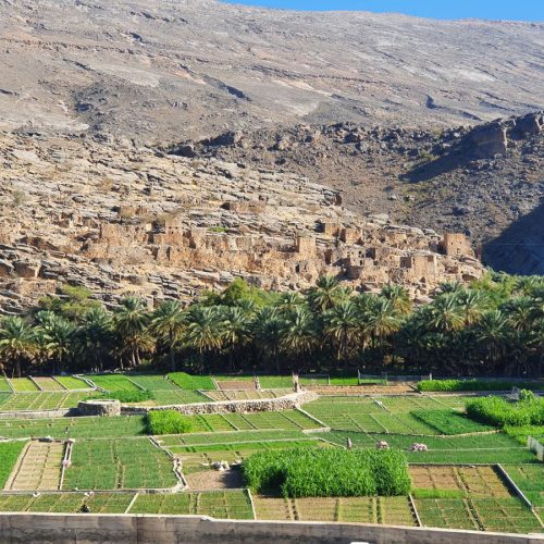 Al Hamra Marhaba Dhofar