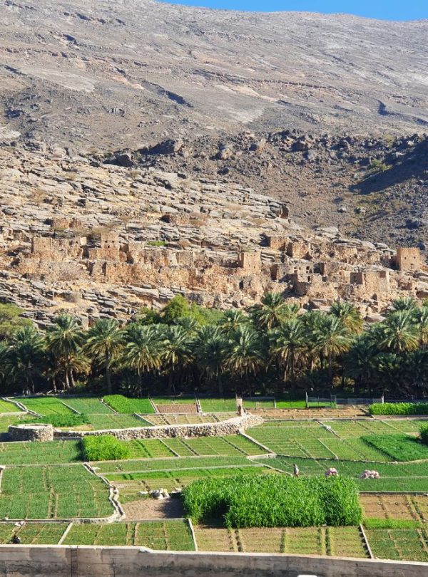 Al Hamra Marhaba Dhofar