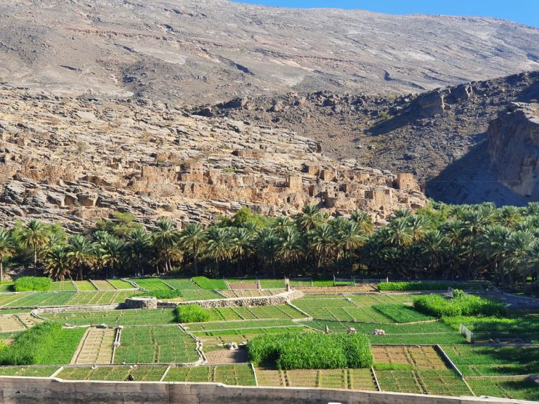 Al Hamra Marhaba Dhofar