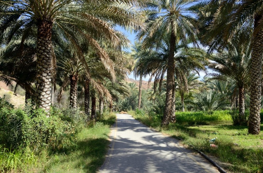 Birkat Al Mouz Marhaba Dhofar