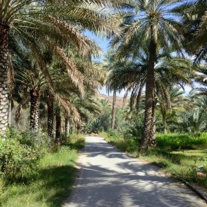 Birkat Al Mouz Marhaba Dhofar