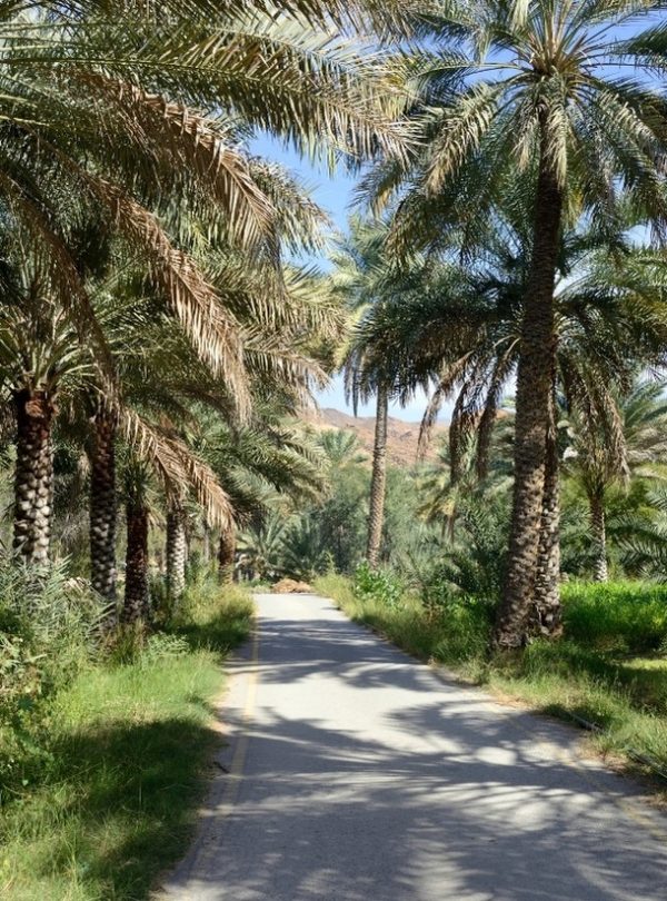 Birkat Al Mouz Marhaba Dhofar