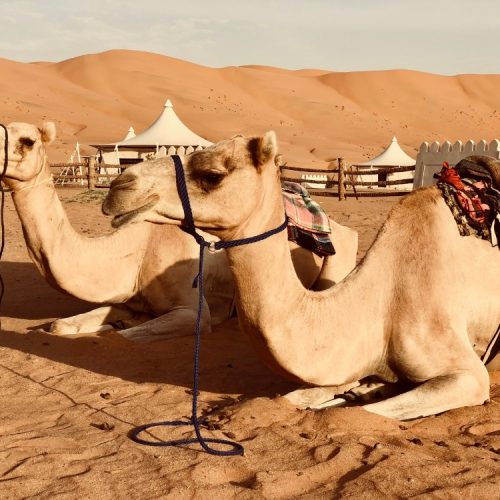 Wahiba Sands
