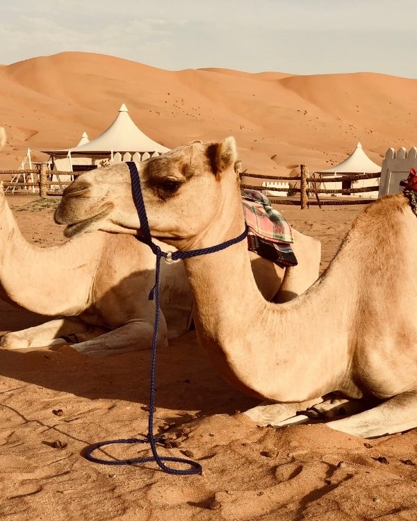 Wahiba Sands