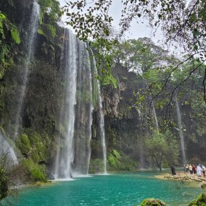 Ain Athum Salalah Khareef Oman_2