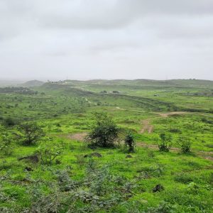 Ain Hamran Khareef Salalah Oman (2)