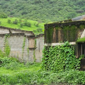 Ain Hamran Khareef Salalah Oman (3)