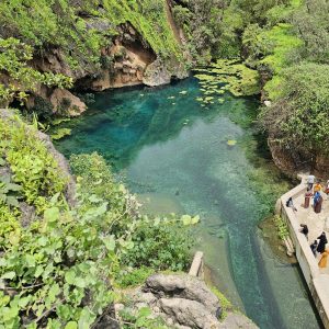 Al Sahalnoot Khareef Salalah Oman_6