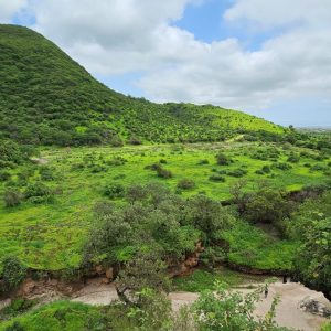 Al Sahalnoot Khareef Salalah Oman_8
