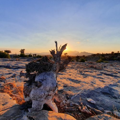 Jabal Shams Oman Marhaba Dhofar