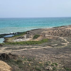 Mughsail Beach Khareef Salalah Oman_1