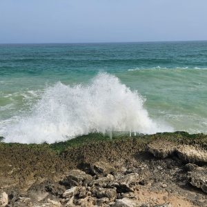 Mughsail Beach Khareef Salalah Oman_4