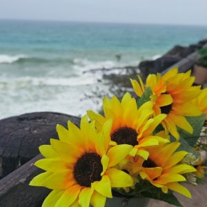 Mughsail Beach Khareef Salalah Oman_6