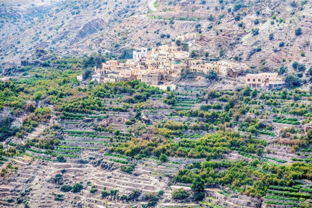 Saiq Plateau Oman Marhaba Dhofar