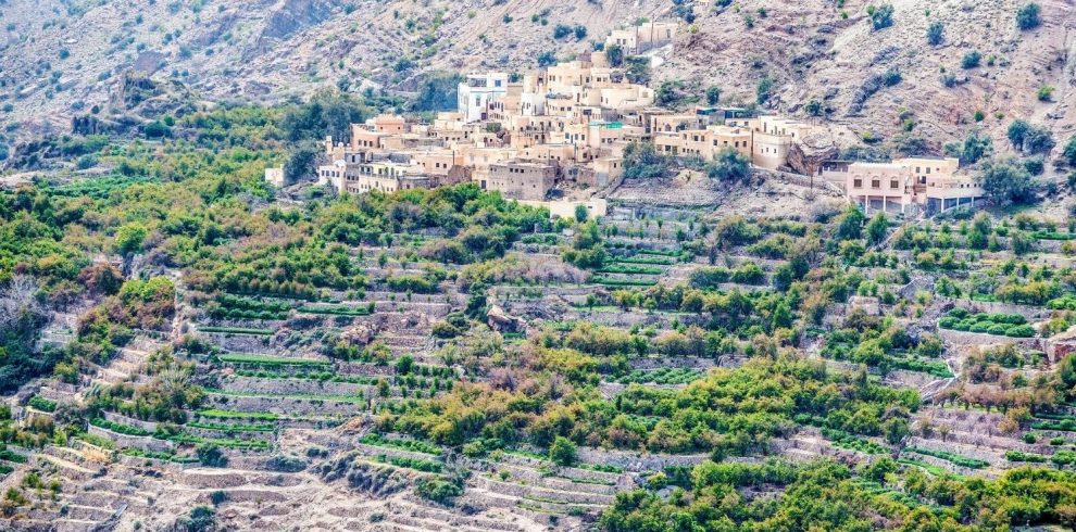 Saiq Plateau Oman Marhaba Dhofar