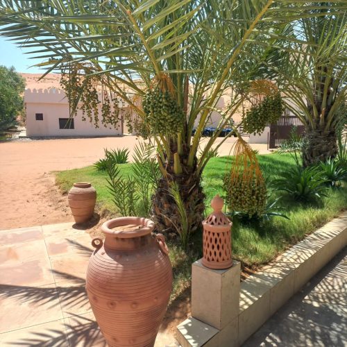 Wahiba Desert Camp Marhaba Dhofar