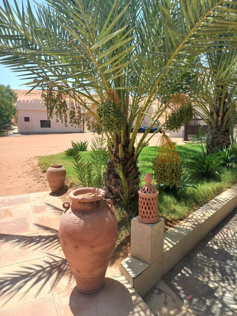 Wahiba Desert Camp Marhaba Dhofar