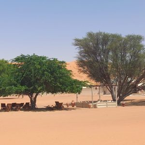 Wahiba Desert Camp_5