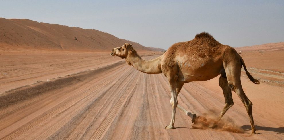 Wahiba Sands Oman Marhaba Dhofar